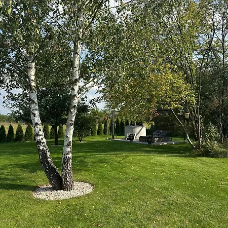 Veli Stawinoga