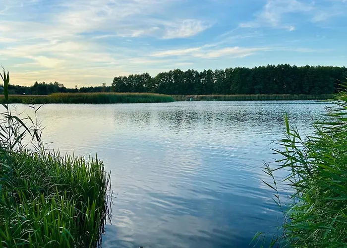 Veli Dom wakacyjny Stawinoga